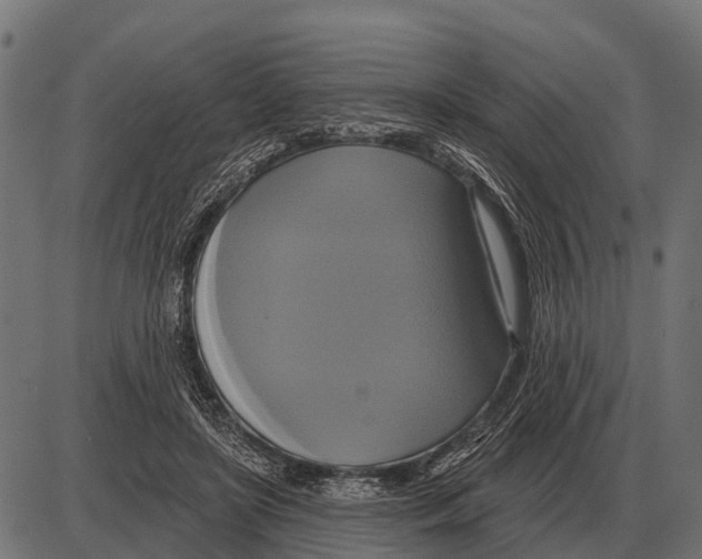 X0000084020451200703161744