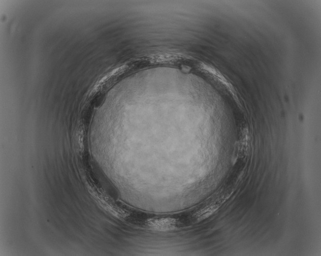 X0000084020452200703161744