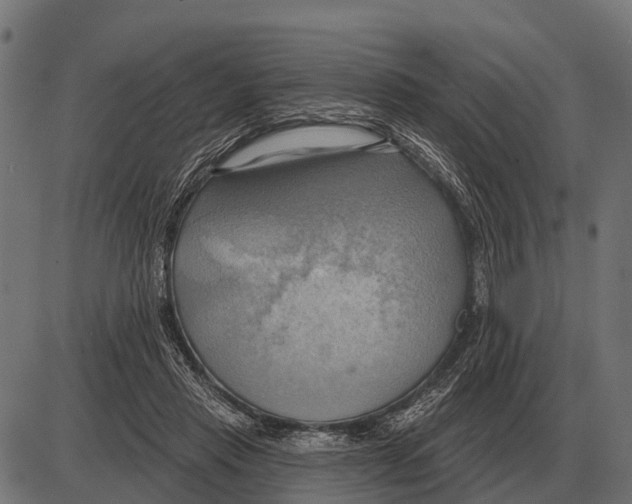 X0000084020453200703161744