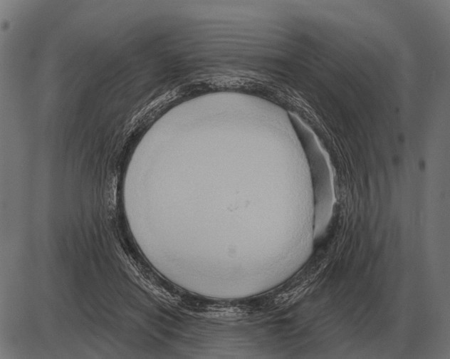 X0000084020454200703161744