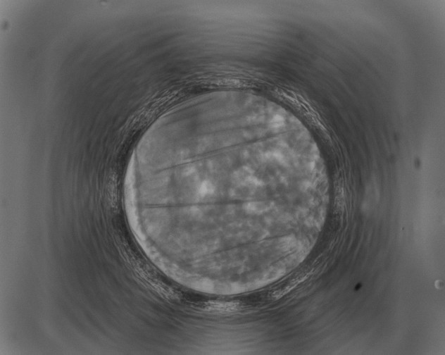 X0000084020457200703161744