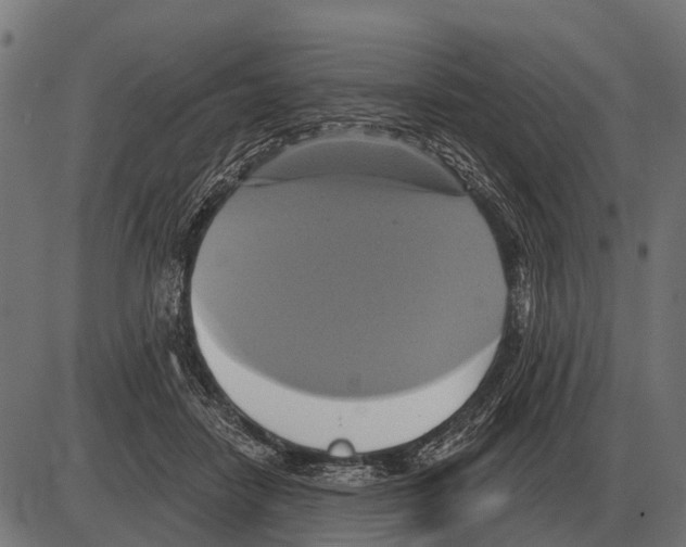 X0000084020458200703161744