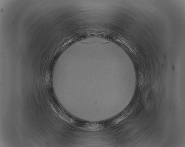 X0000084020459200703161744