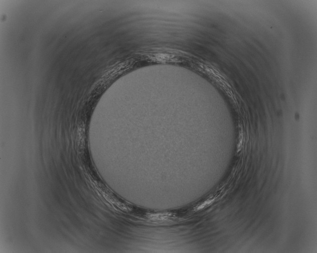 X0000084020461200703161744