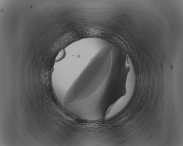 X0000084020462200703161744