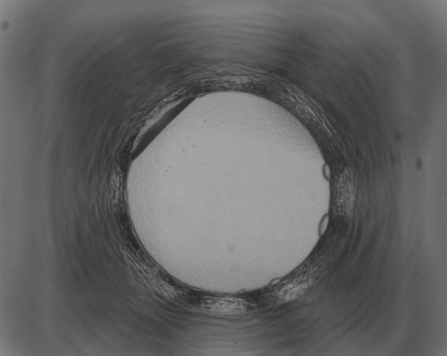 X0000084020463200703161744