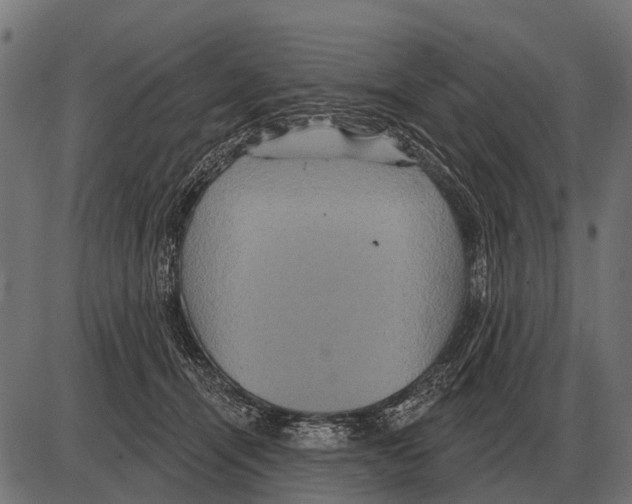 X0000084020464200703161744