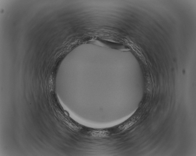 X0000084020465200703161744