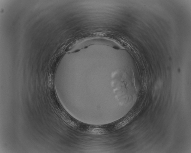 X0000084020467200703161744