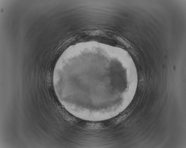 X0000084020469200703161744