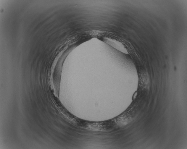 X0000084020470200703161744