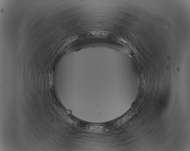 X0000084020471200703161744