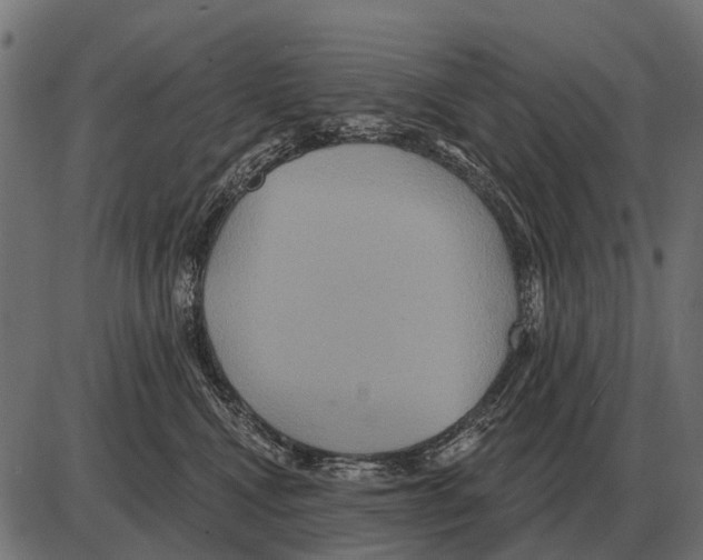 X0000084020472200703161744