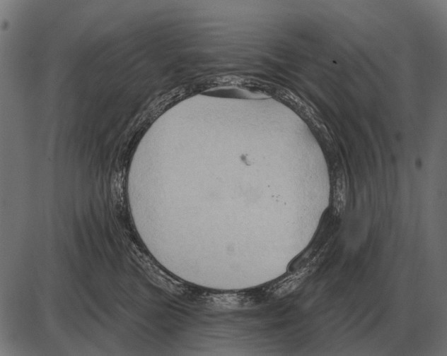 X0000084020473200703161744