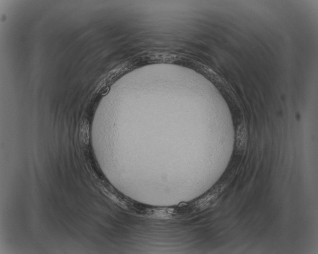 X0000084020474200703161744