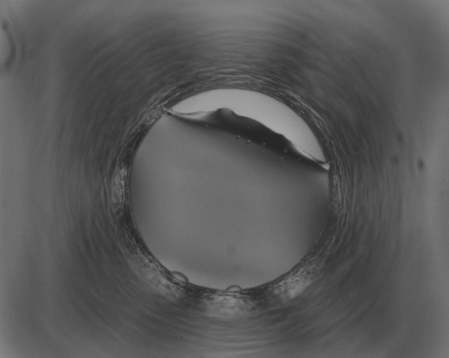 X0000084020475200703161744