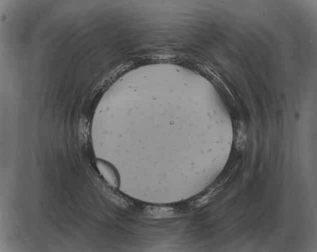 X0000084020476200703161744