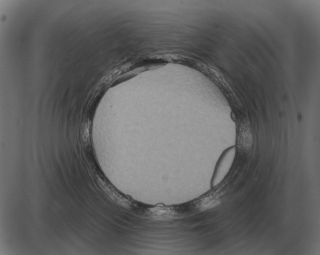 X0000084020477200703161744