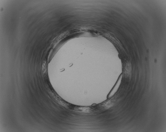 X0000084020478200703161744