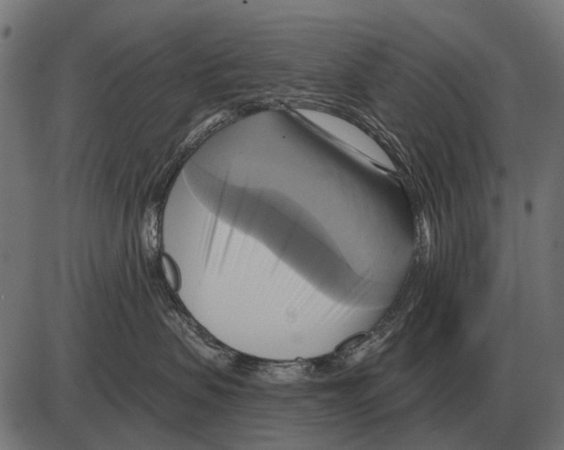 X0000084020479200703161744