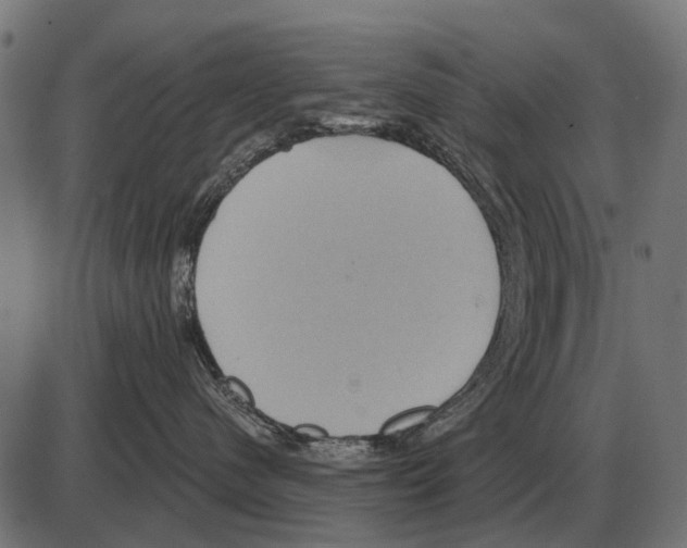 X0000084020480200703161744