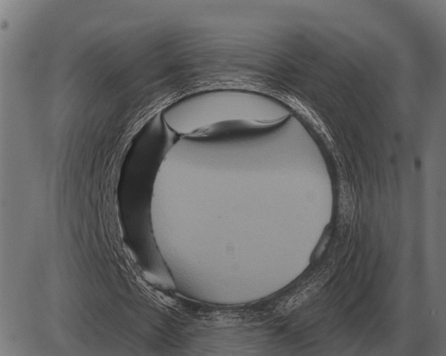 X0000084020481200703161743