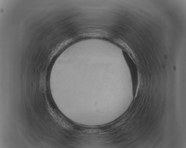 X0000084020482200703161743