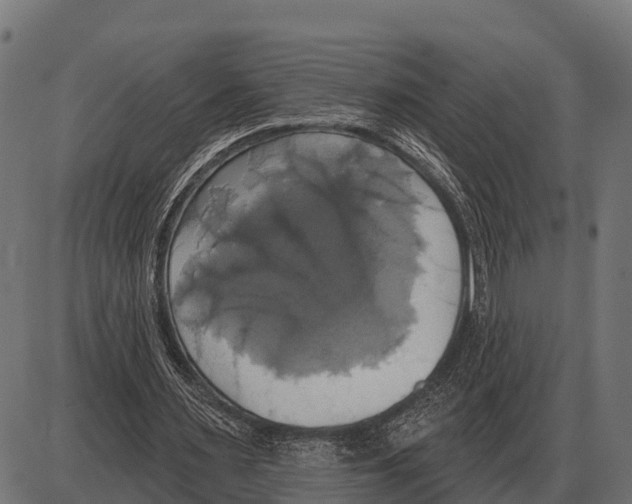 X0000084020483200703161743