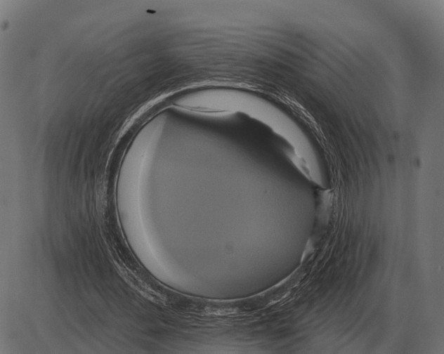 X0000084020484200703161743