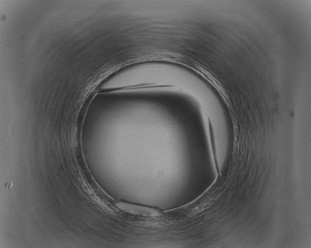 X0000084020485200703161743