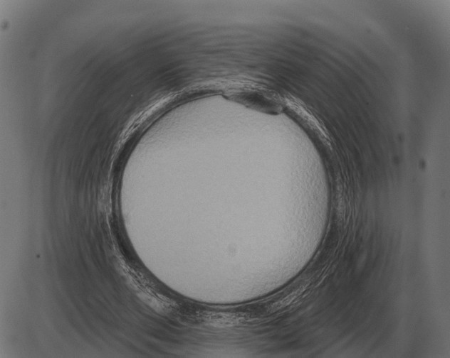 X0000084020486200703161743