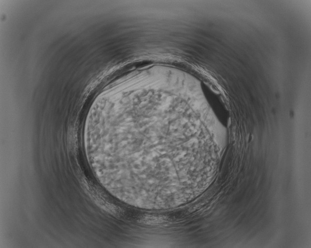 X0000084020487200703161743