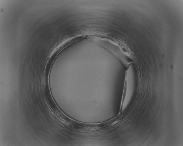 X0000084020488200703161743