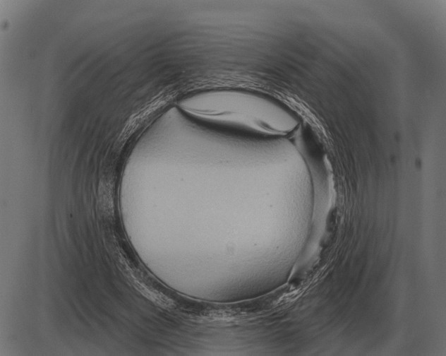 X0000084020489200703161743