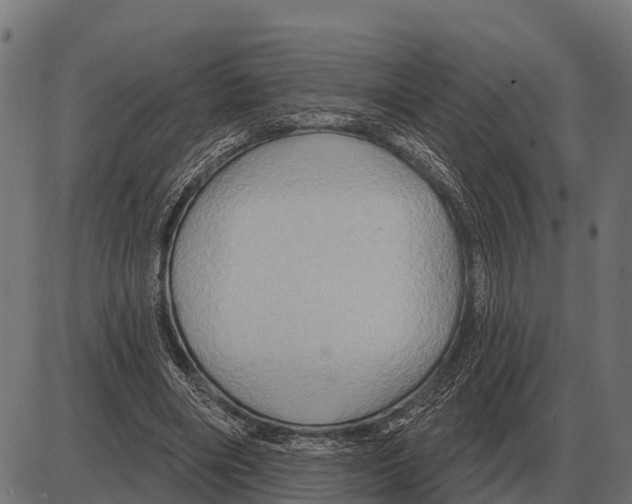 X0000084020490200703161743