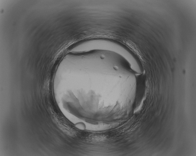 X0000084020491200703161743