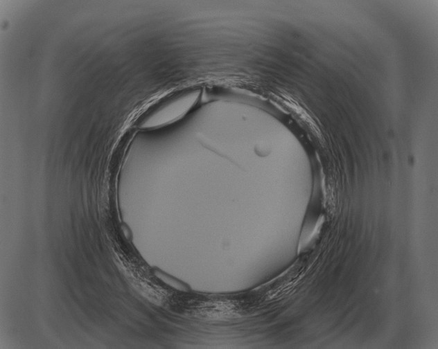 X0000084020492200703161743