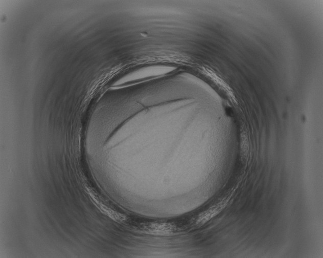 X0000084020493200703161743