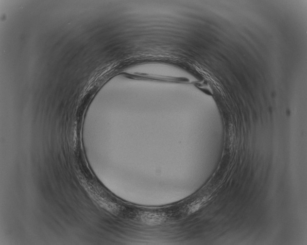 X0000084020494200703161743