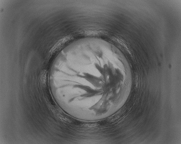 X0000084020495200703161743