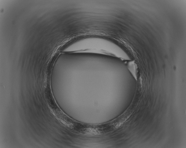 X0000084020496200703161743