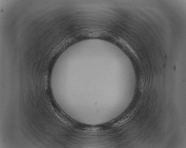 X0000084020497200703161743