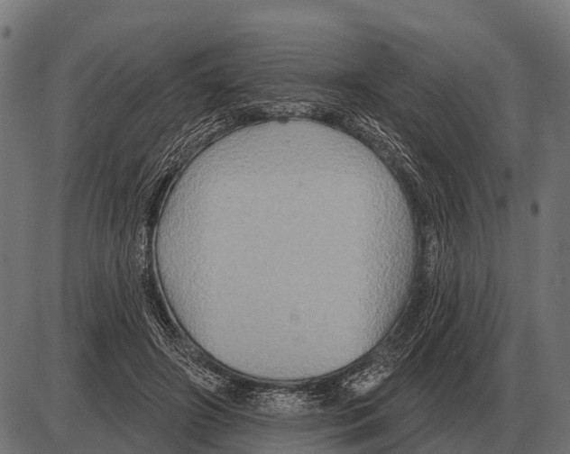 X0000084020498200703161743