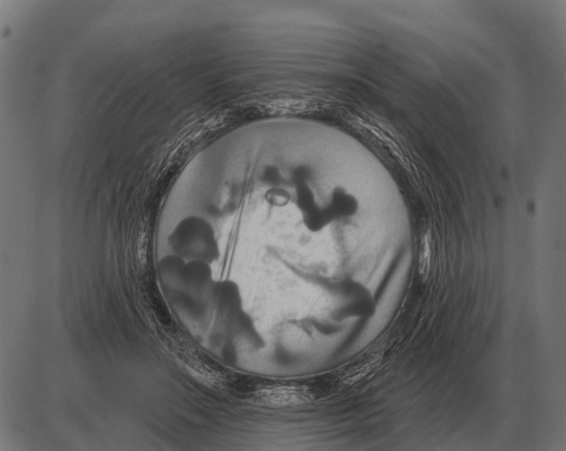 X0000084020499200703161743