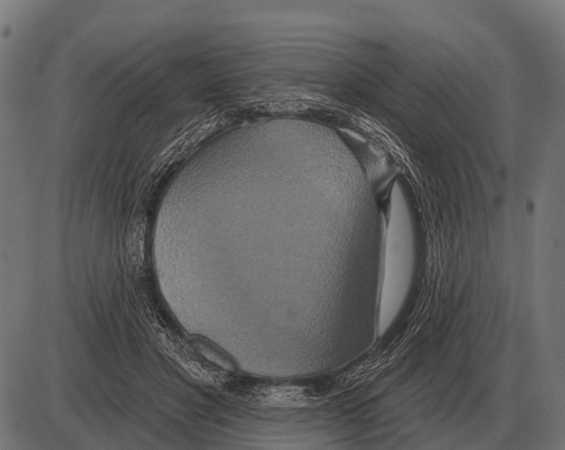 X0000084020501200703161743