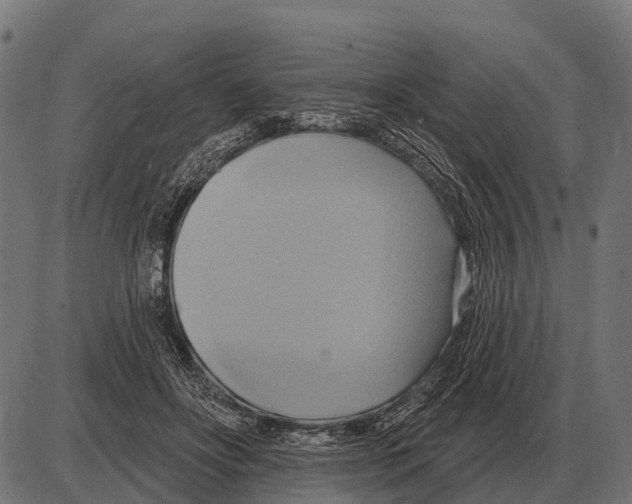 X0000084020502200703161743