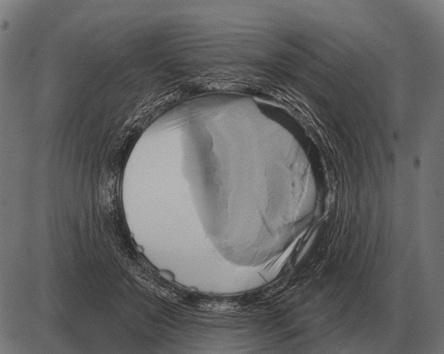 X0000084020503200703161743