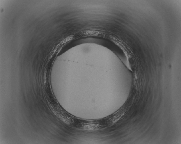 X0000084020504200703161743