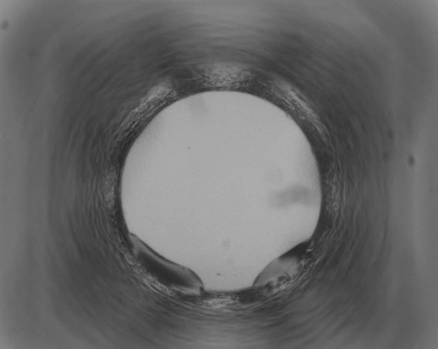 X0000084020505200703161743