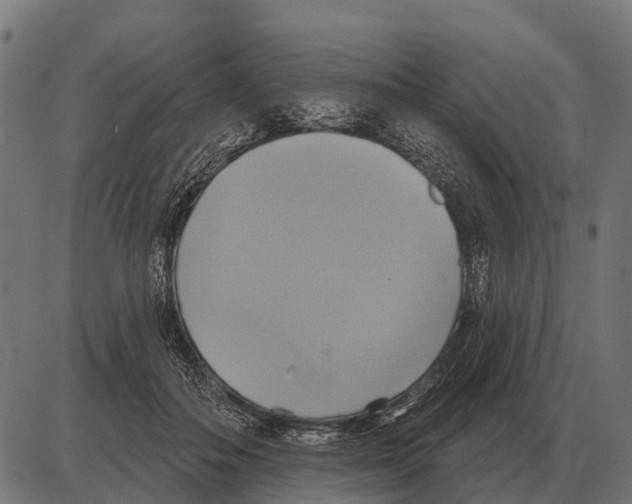 X0000084020506200703161743